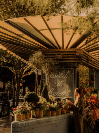 Curated speciality stores